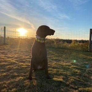 Meet your Posher, Madison